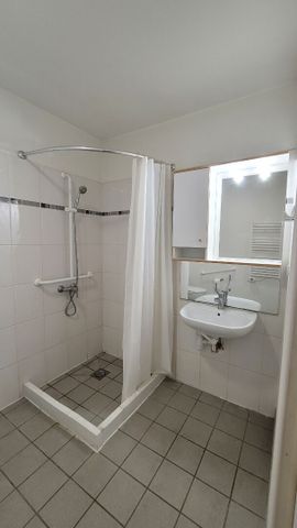 Location Appartement 1 pièce 21m² - Photo 5