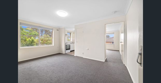 RENOVATED ONE BED IN CONVENIENT LOCATION - Photo 1