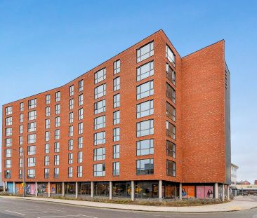 Premium Ensuite - Photo 4