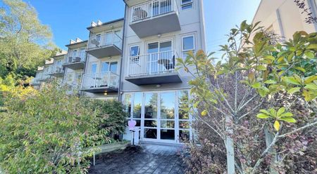 Executive Studio - Furnished - Photo 4