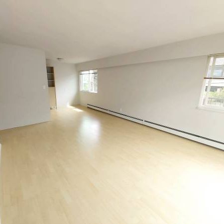 Kitsilano 1bdrm 2 blocks from beach avail now - Photo 1