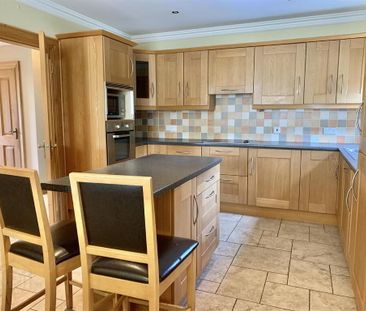 9a Birches Road, Portadown, Craigavon, BT62 1LS - Photo 6
