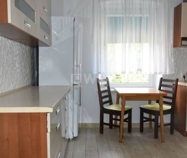 Mieszkanie na wynajem w kamienicy Legnica, Przedmieście Głogowskie - Zdjęcie 4