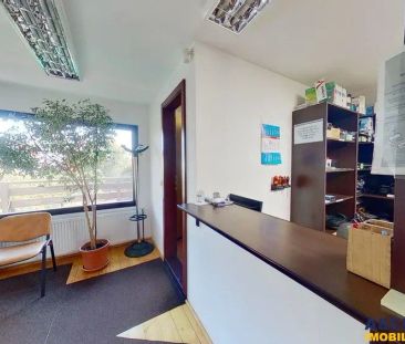 Nivel in casa, recomandat si activitati birou, Central, Brasov. - Fotografie 1