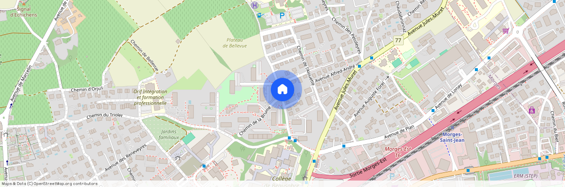 chemin de la grosse pierre, 1110 Morges