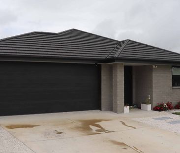 Modern 3-Bedroom Home + Office with Country Feel - Photo 4