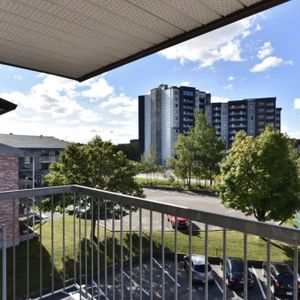 Appartement 4 1/2 - 1er Août - Lévis - Photo 3