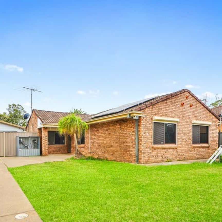 WATER USAGE INCLUDED!!! - Photo 1