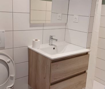 Location Appartement 1 pièce 17m² - Photo 3