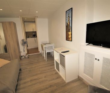 Location Appartement 1 pièce 19m² MENTON 06500 - Photo 3