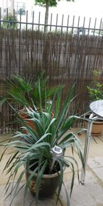 Appart F2 41m² (réf 2127984) - Photo 3