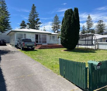 Currently being renovated 3-bedroom home - Photo 4