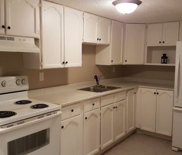 For Lease - 236 Demaine Crescent Unit# Basement, Richmond Hill, Ont... - Photo 2