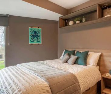 Deluxe Studio - Photo 5