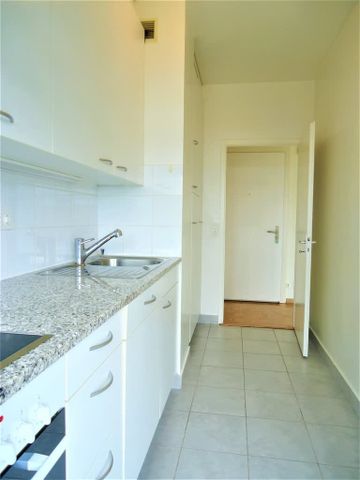 3 Zimmer, 48 m², 7. Stock - Foto 4