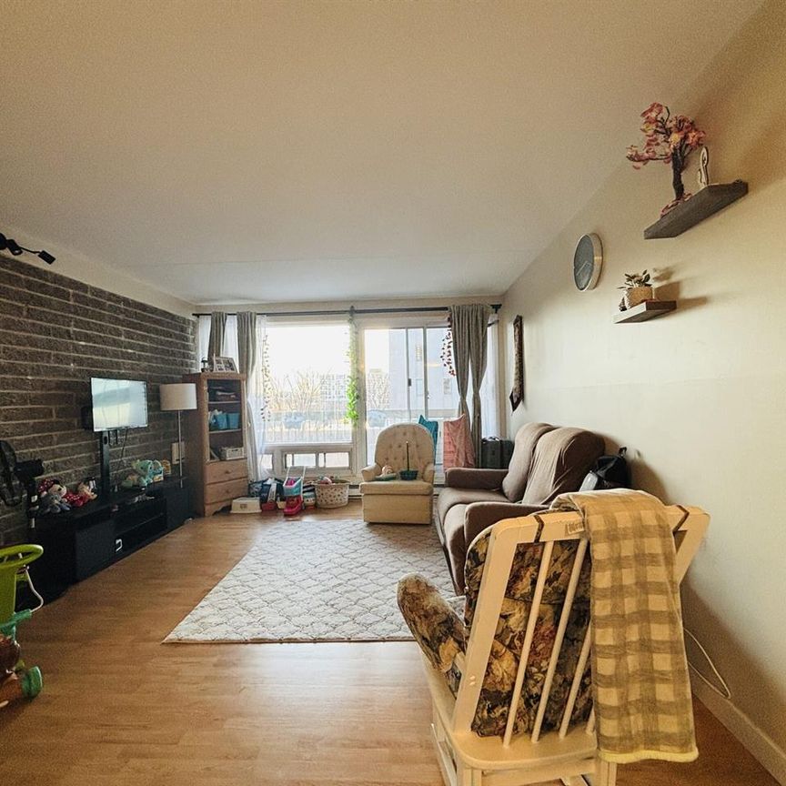 Chemin Sainte-Foy Appartement 3 ½ à Louer Montcalm / Saint-Sacrement Septembre 2026 - Photo 1