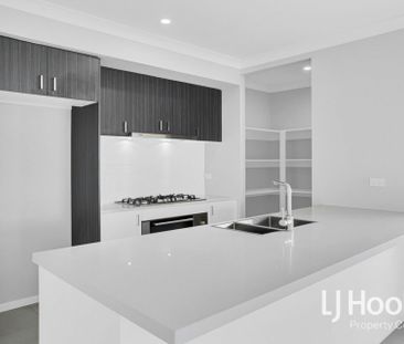 New Year, New Home? Long Term Tenants Wanted! - Photo 1