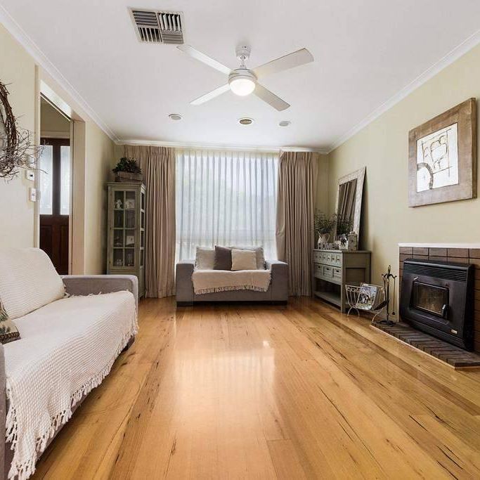 Surprise Packet - Photo 1