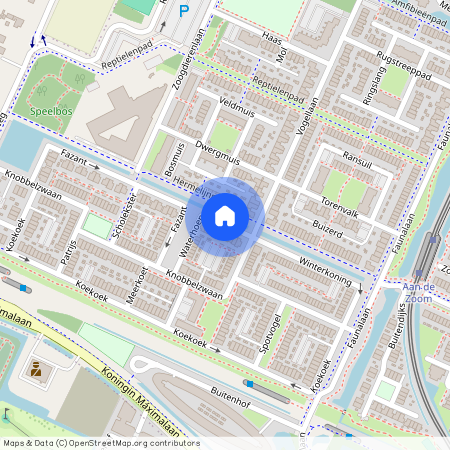 Legmeer, 1422 ZK, Waterhoen, Uithoorn