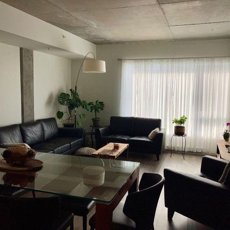 Bail à céder au 1er décembre 2025 - 1er mois GRATUIT - Tout inclus! - Photo 4