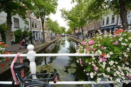 Brabantse Turfmarkt - Foto 5