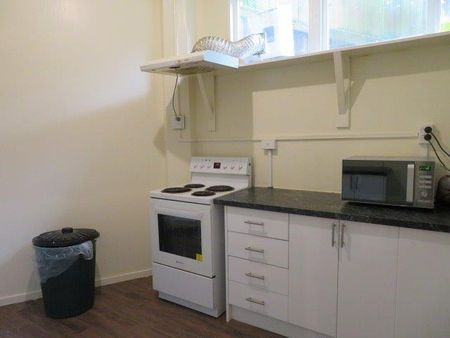 SHARED RESIDENTAL DWELLING IN POPULAR HATAITAI - Photo 4