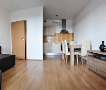 Mieszkanie wynajem Poznań Nowe Miasto Pelikan basen - Photo 5