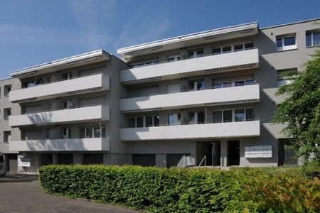 Proche de la ville et pourtant à la campagne - Photo 3