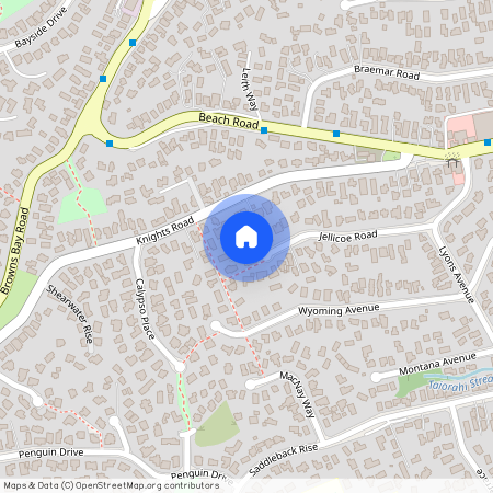 31A Jellicoe Road, North Shore