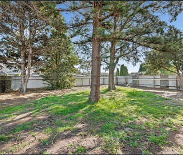 Retro Home with a 15 minute walk to the Beach! - Photo 6