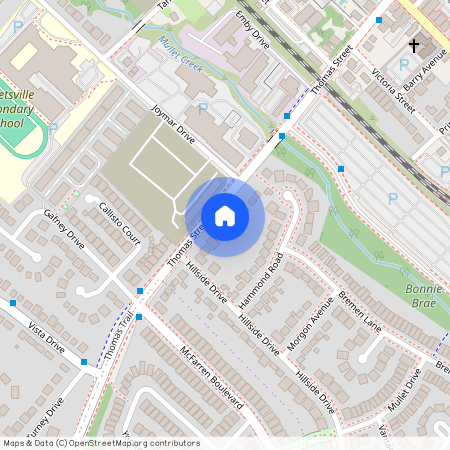 77 Thomas Street Unit# Lower, Mississauga