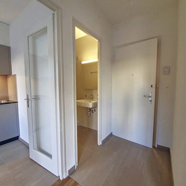 Joli appartement de 1 pièce au rez, 33m2 - Photo 1