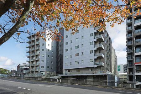 Spacious fully furnished apartment, own courtyard - Photo 4