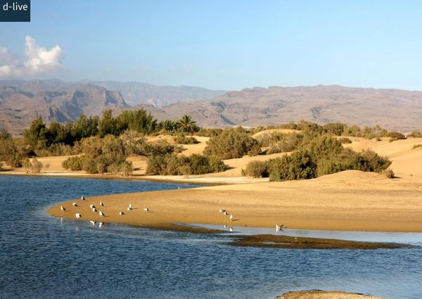 San Bartolome de Tirajana, Canary Islands 35100