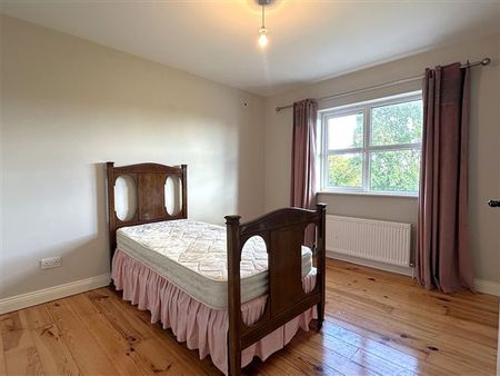 Lavallyconor, Ardrahan, Co. Galway, H91EDY7 - Photo 5