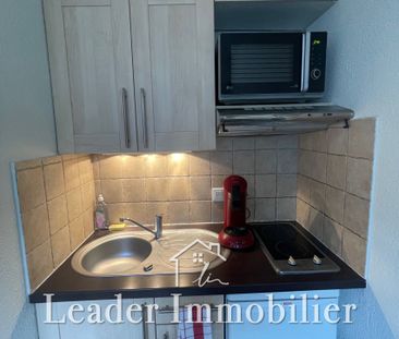 Location Appartement 1 pièce 19m² ANTIBES 06600 - Photo 2