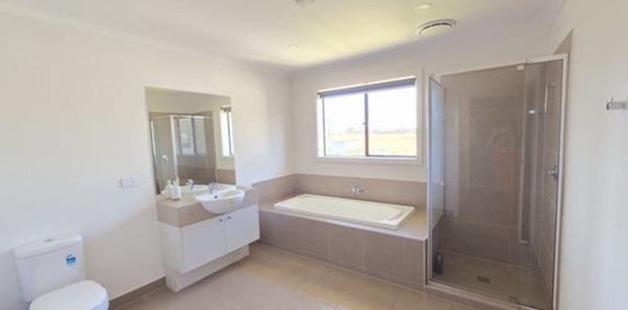 Donnybrook - Photo 2