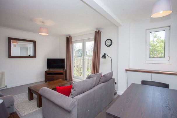 Curle Street - Photo 1