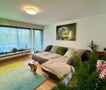 4.5-Zi-Wohnung, 90 m², grosser Balkon, Wittnau - Foto 2