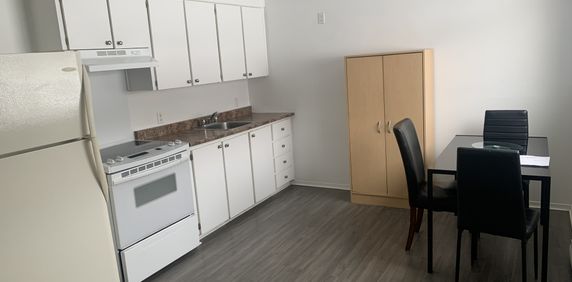 ,Apt1CH.chau.écl.poêl/frigo.statt. - Photo 2