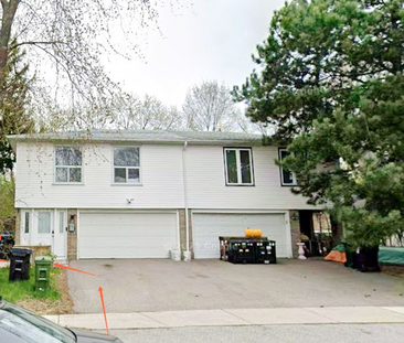 For Lease - 362 Hollyberry Trail Unit# Bsmt, Toronto, Ontario - Photo 3