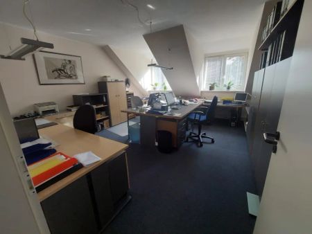 Besondere Wohnung in der Innenstadt und doch am Rande - Foto 2