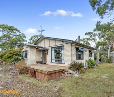 Wonderful cottage in bush setting - Photo 4