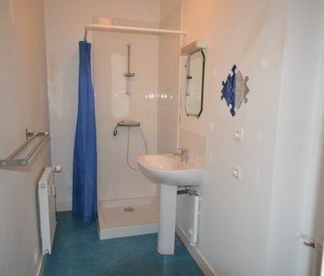 Location Appartement 1 pièce 22m² NANTES 44000 - Photo 2