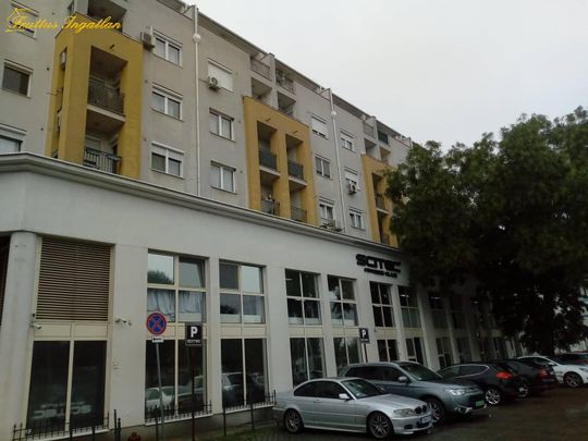 Debrecen,Széchenyi kertben újabb építésű társasházban 45nm lakás kiadó - Fotó 1