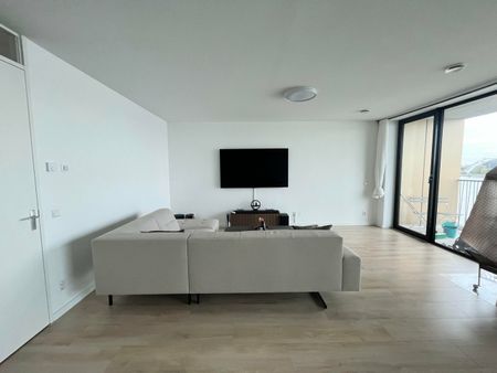 Pampuskade - Photo 4