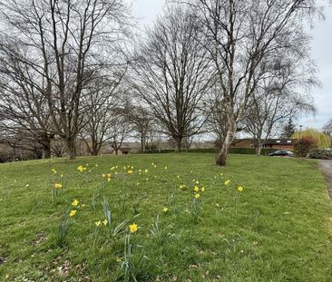 1 bedroom maisonette to rent - Photo 2