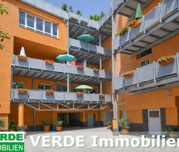 Neuwertige 3-Zimmer-Wohnung mit Balkon, Aufzug & Carport in ruhiger... - Photo 2