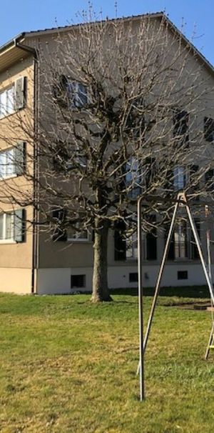 "Gemütliche 3-Zimmerwohnung" - Foto 1