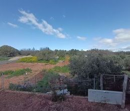 Διαμέρισμα για ενοικίαση - Κορωπί, - Photo 2